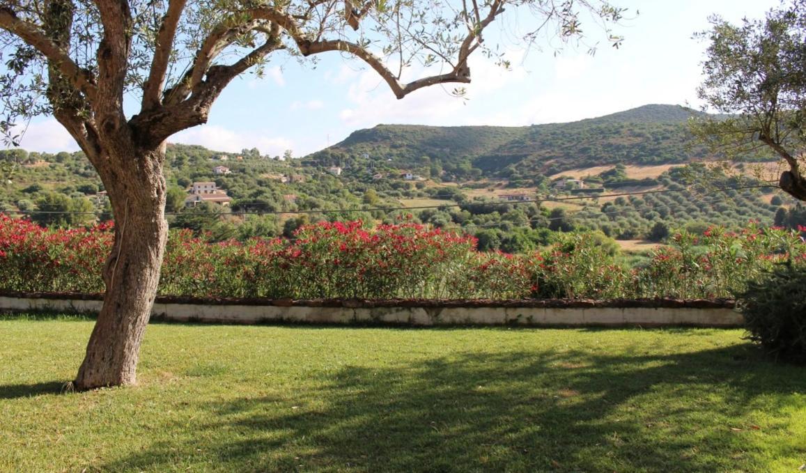 B&B Kapi Country Alghero Exteriér fotografie